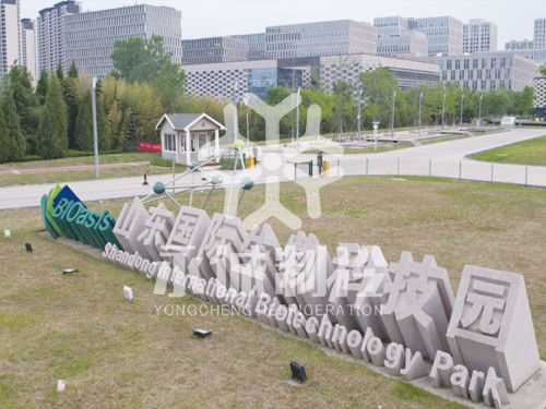 山東國(guó)際生物科技園